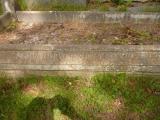 image of grave number 808968